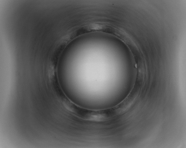 X0000113210555200909101134