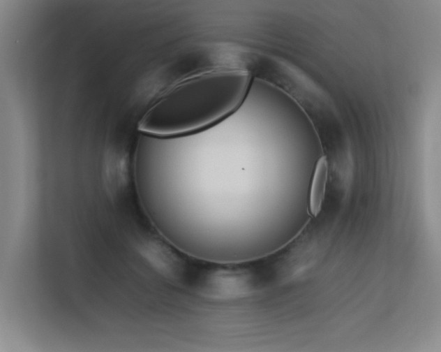 X0000113210556200909101134