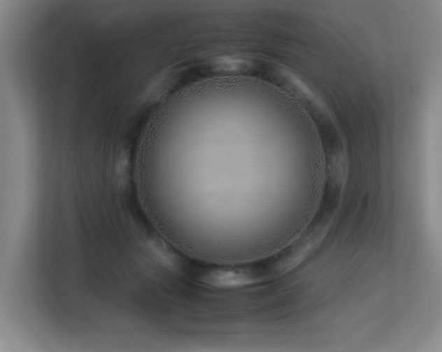 X0000113210557200909101134