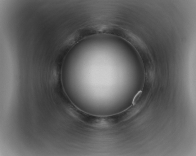 X0000113210558200909101134