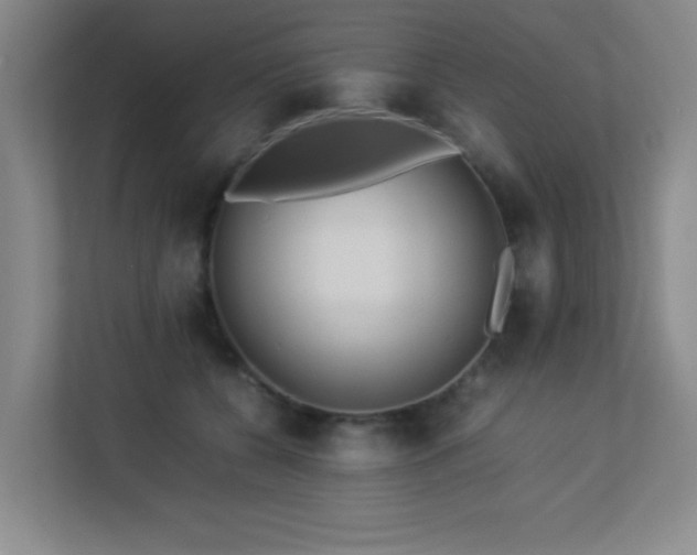 X0000113210560200909101134