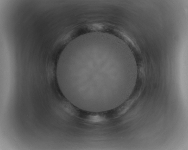 X0000113210561200909101134