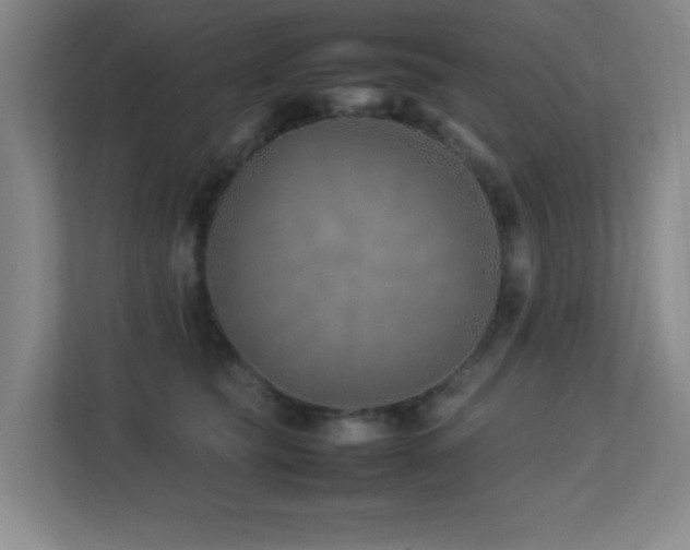 X0000113210565200909101134