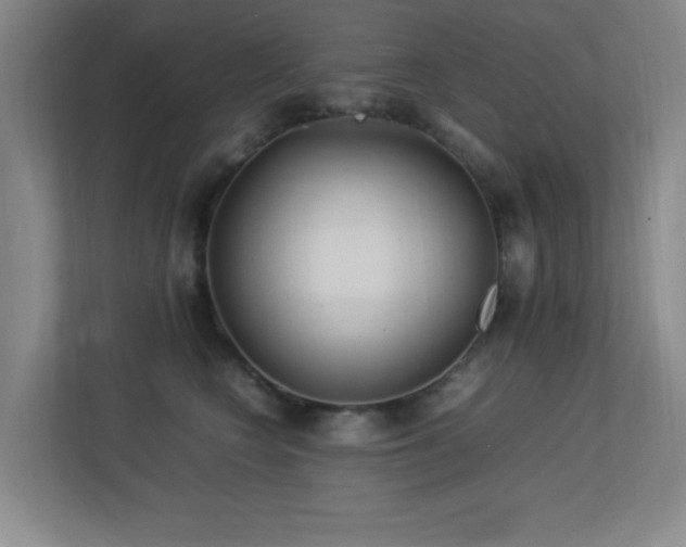 X0000113210566200909101134