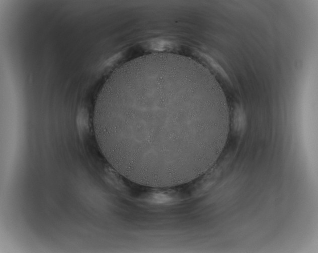 X0000113210569200909101134