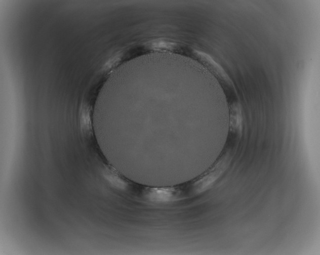 X0000113210573200909101134