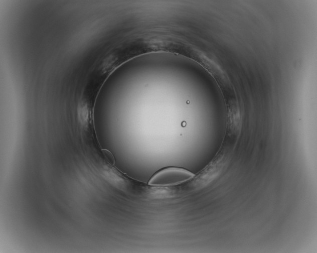 X0000113210574200909101134