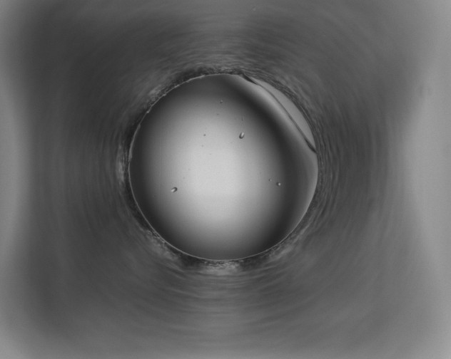 X0000113210576200909101134