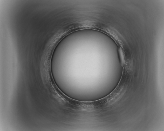 X0000113210577200909101134