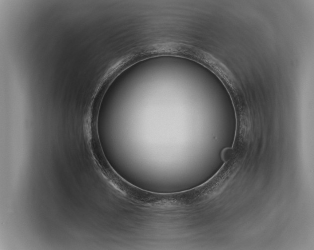 X0000113210578200909101134