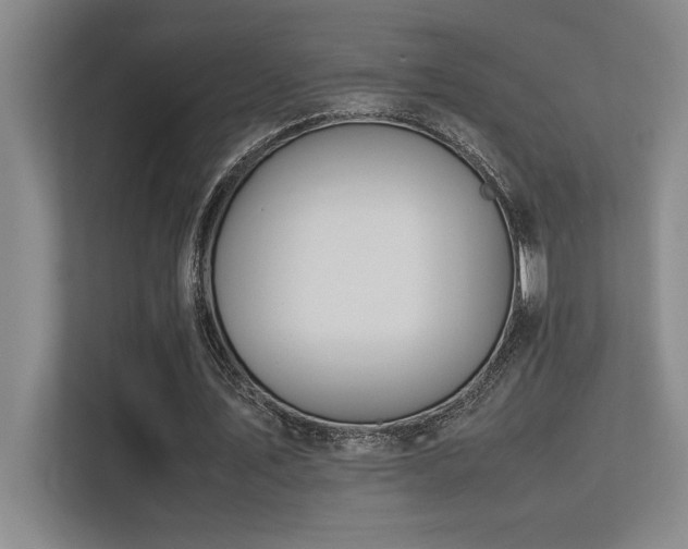 X0000113210579200909101134