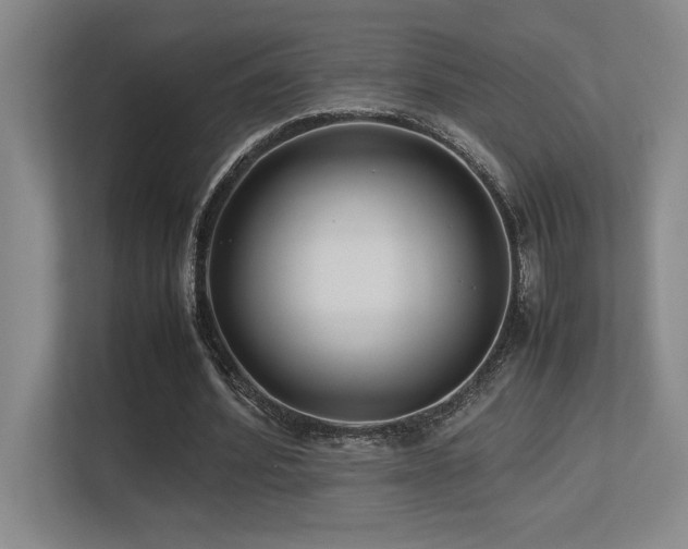 X0000113210580200909101134