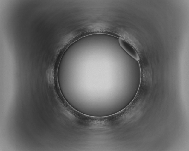 X0000113210581200909101134