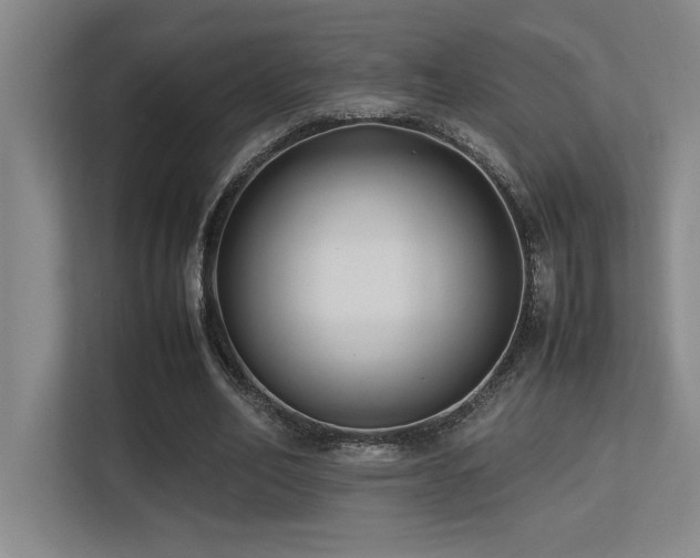 X0000113210582200909101134