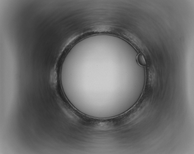 X0000113210584200909101134