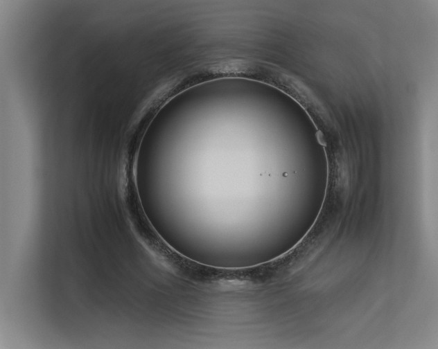 X0000113210586200909101134