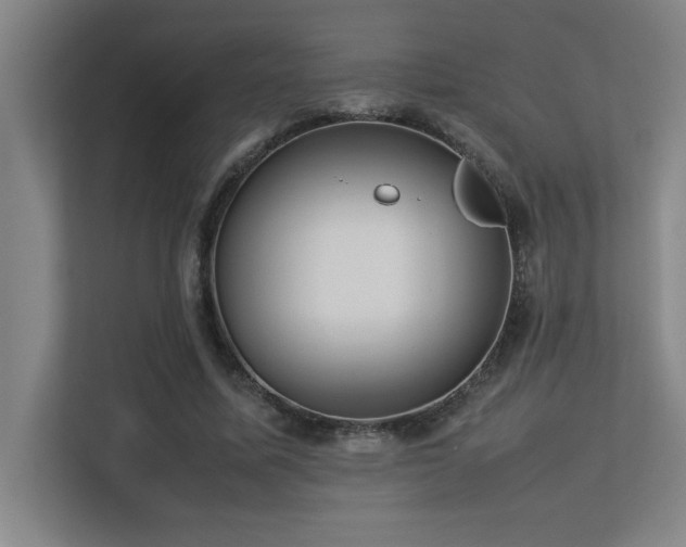 X0000113210587200909101134