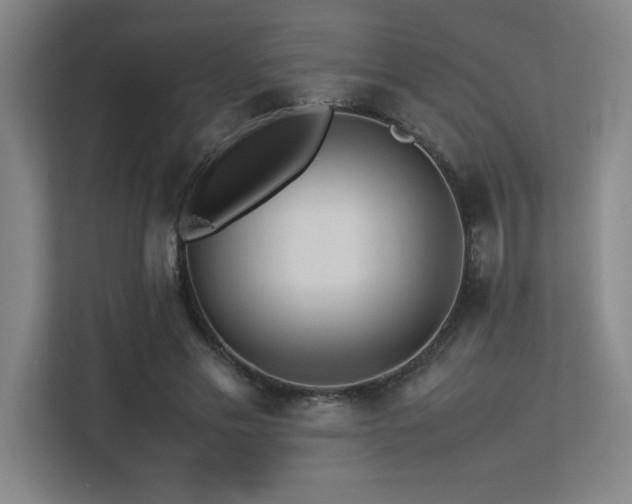 X0000113210589200909101134