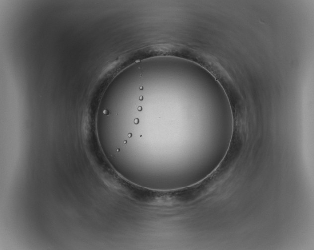 X0000113210591200909101134