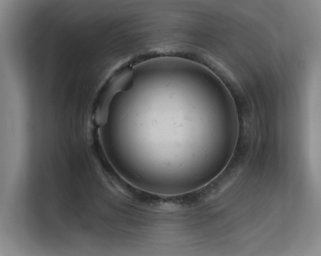 X0000113210592200909101134