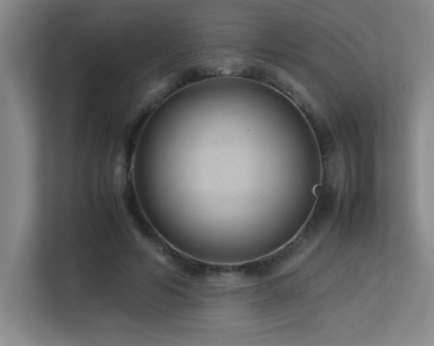 X0000113210594200909101134