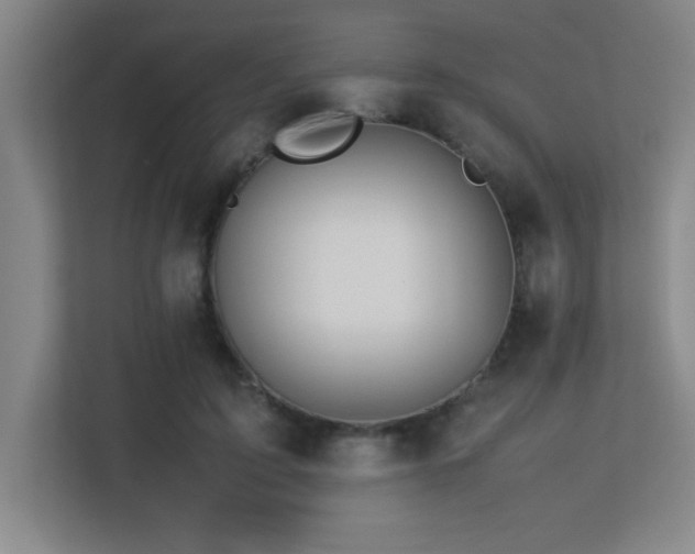 X0000113210595200909101134