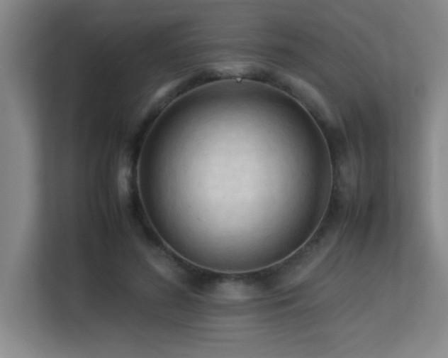 X0000113210596200909101134