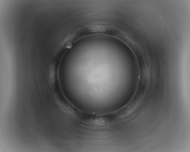 X0000113210600200909101133