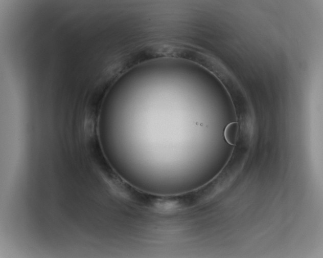 X0000113210602200909101133