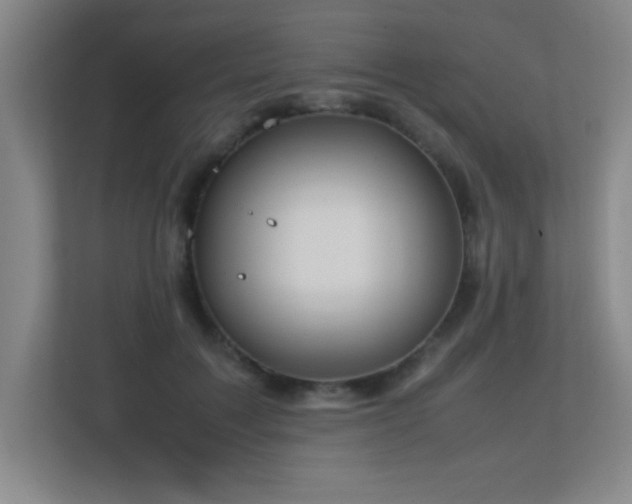 X0000113210603200909101133