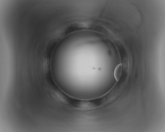 X0000113210605200909101133