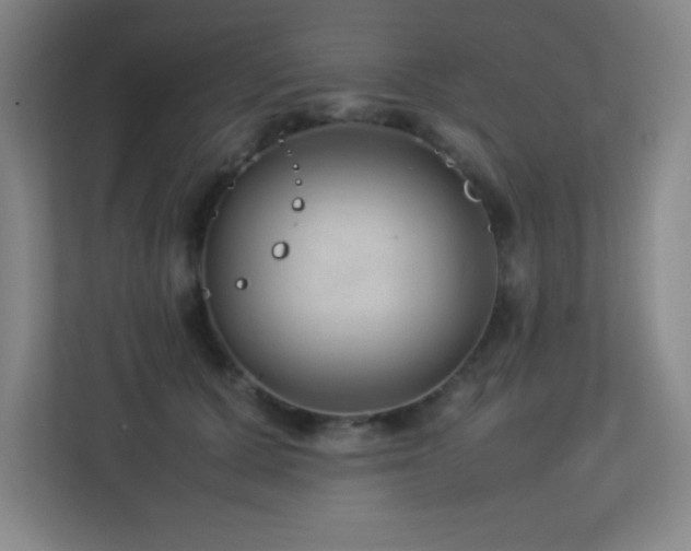 X0000113210607200909101133