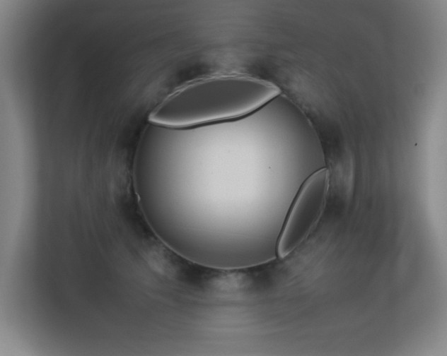 X0000113210609200909101133