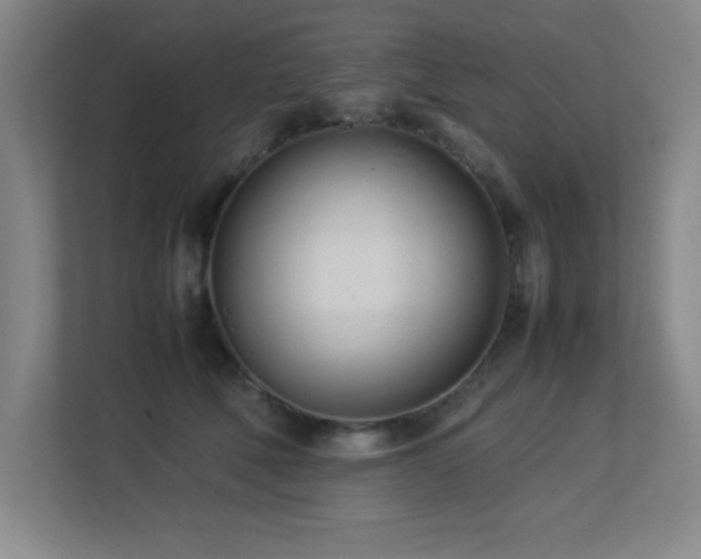 X0000113210610200909101133