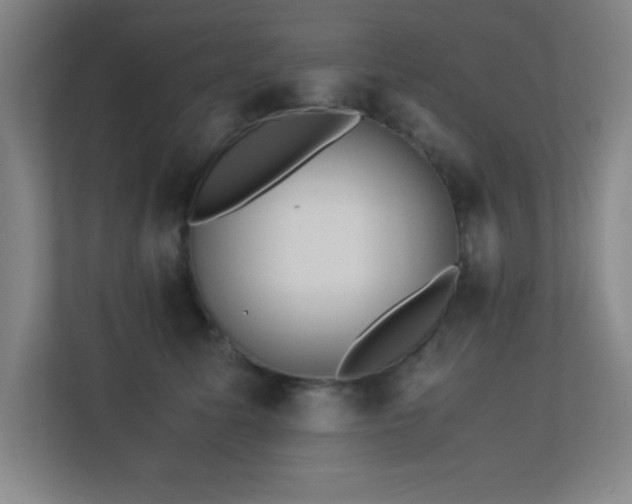 X0000113210611200909101133