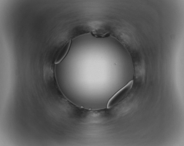 X0000113210613200909101133