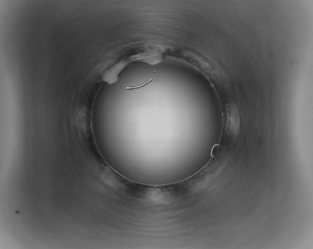 X0000113210616200909101133