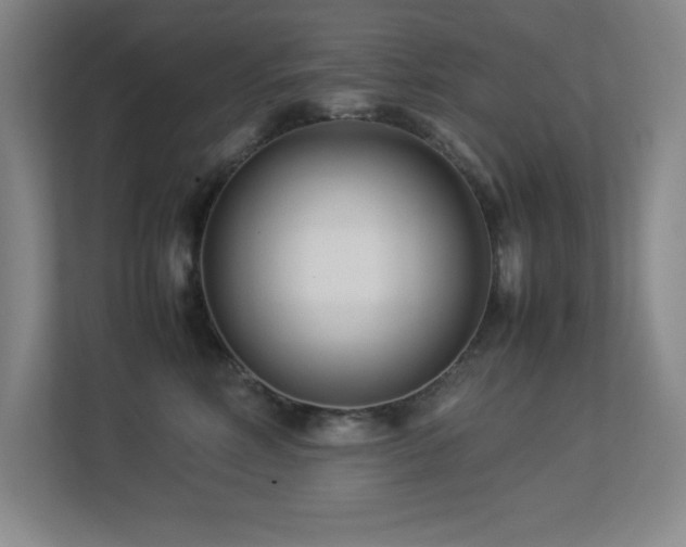 X0000113210618200909101133