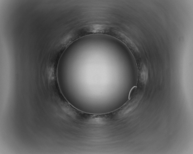 X0000113210620200909101133