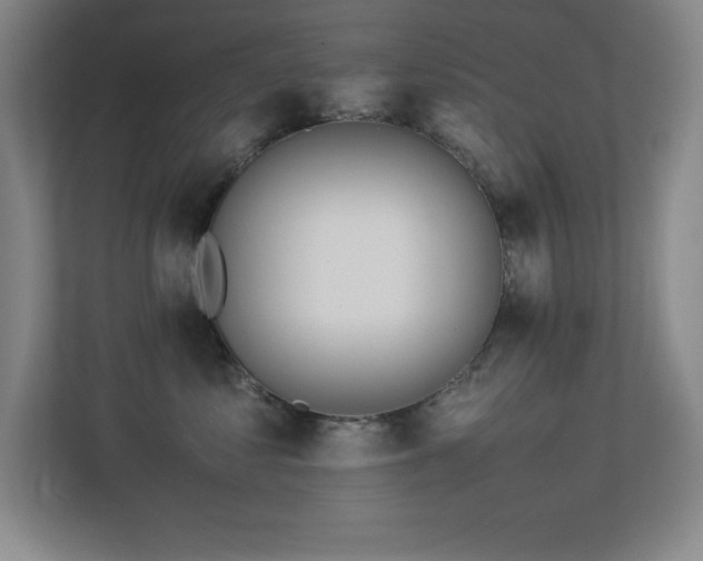 X0000113210621200909101133