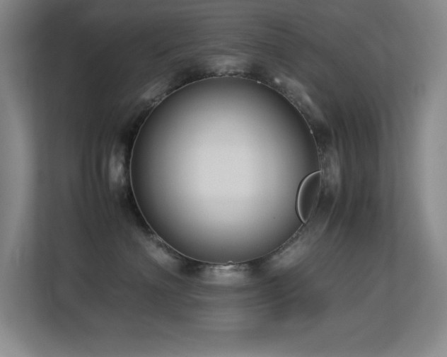 X0000113210622200909101133