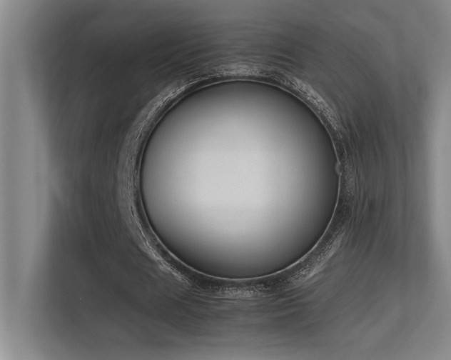 X0000113210625200909101133