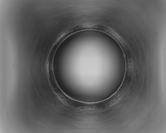 X0000113210626200909101133