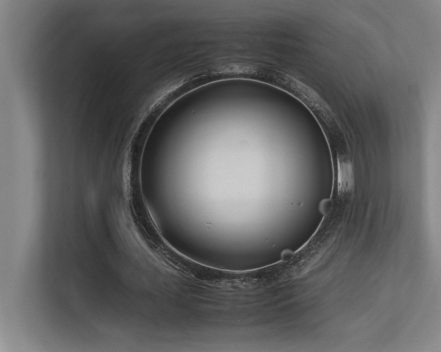 X0000113210627200909101133