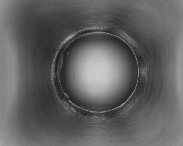 X0000113210628200909101133