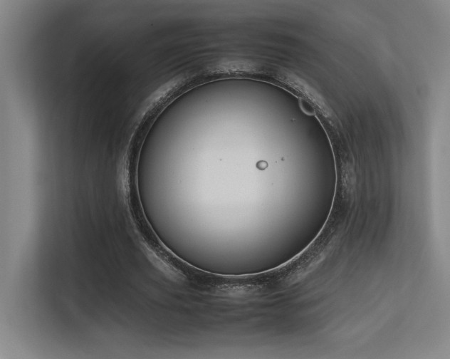 X0000113210629200909101133