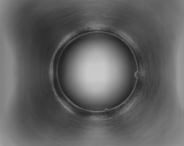 X0000113210630200909101133