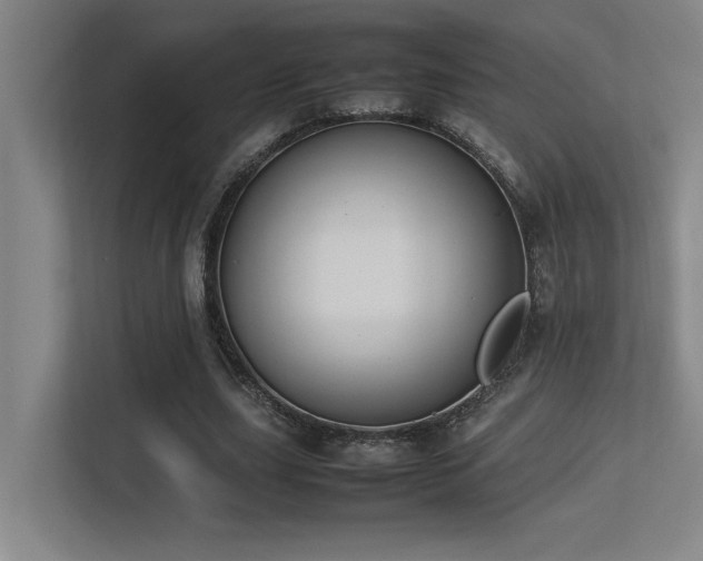 X0000113210631200909101133