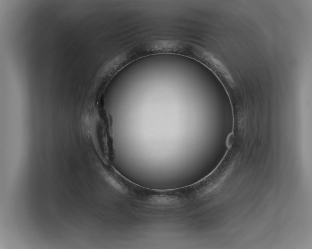 X0000113210633200909101133