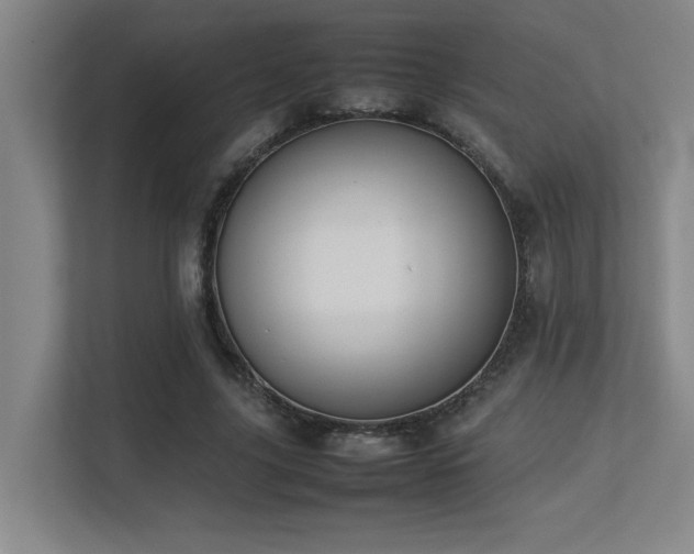 X0000113210635200909101133